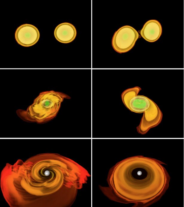 Die Bilder zeigen eine Simulation von zwei Neutronensternen, die zu einem Hypermassiven Neutronestern (HMNS) verschmelzen. Die unterschiedlichen Farben markieren die verschiedenen Dichten: grün bedeutet eine hohe Dichte, orange eine geringe Dichte. Trotz seiner hohen Temperatur kann der HMNS der Schwerkraft nicht widerstehen und kollabiert nach Sekundenbruchteilen zu einem Schwarzen Loch. Die Materie mit geringer Dichte (orangefarben) bildet einen Torus um das Schwarze Loch herum. Aus dieser Situation heraus könnten Gammastrahlenausbrüche entstehen.