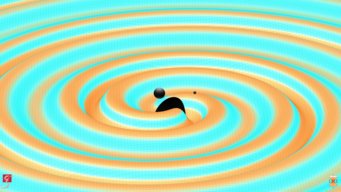 Numerische Simulation des Gravitationswellen-Ereignisses GW151226, das von einer Verschmelzung zweier schwarzer Löcher erzeugt wurde. Die Stärke der Gravitationswellen ist durch Höhe der Wellen und deren Farbe angezeigt. Cyan steht dabei für schwache und orange Farbe für starke Felder. Die Größen der schwarzen Löcher und ihr Abstand sind um den Faktor zwei vergrößert, um die Erkennbarkeit zu verbessern. Die Farben auf der Oberfläche der schwarzen Löcher stellen ihre lokalen Verformungen durch Eigenrotation und Gezeitenkräfte dar. Numerische Simulation des Gravitationswellen-Ereignisses GW151226, das von einer Verschmelzung zweier schwarzer Löcher erzeugt wurde. Die Stärke der Gravitationswellen ist durch Höhe der Wellen und deren Farbe angezeigt. Cyan steht dabei für schwache und orange Farbe für starke Felder. Die Größen der schwarzen Löcher und ihr Abstand sind um den Faktor zwei vergrößert, um die Erkennbarkeit zu verbessern. Die Farben auf der Oberfläche der schwarzen Löcher stellen ihre lokalen Verformungen durch Eigenrotation und Gezeitenkräfte dar.