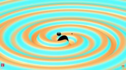Numerische Simulation des Gravitationswellen-Ereignisses GW151226, das von einer Verschmelzung zweier schwarzer Löcher erzeugt wurde. Die Stärke der Gravitationswellen ist durch Höhe der Wellen und deren Farbe angezeigt. Cyan steht dabei für schwache und orange Farbe für starke Felder. Die Größen der schwarzen Löcher und ihr Abstand sind um den Faktor zwei vergrößert, um die Erkennbarkeit zu verbessern. Die Farben auf der Oberfläche der schwarzen Löcher stellen ihre lokalen Verformungen durch Eigenrotation und Gezeitenkräfte dar.