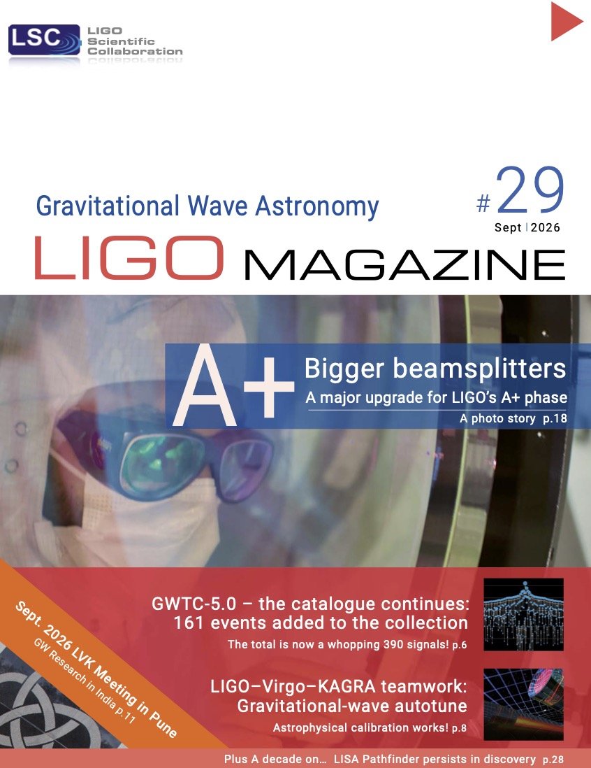Issue 29