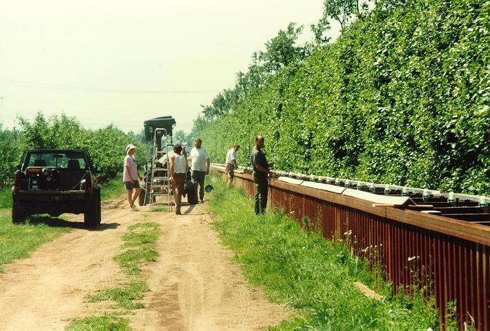 On a hot summer day (temperatures are above 30°C), the rail for the west-east trench is going to be installed. From the left to the right you see: Mathias, Michael, Hans, Andreas, and Dirk. The electrical drill is mounted on a trailer behind an old tractor. A generator is placed on the pickup seen on the left hand side.