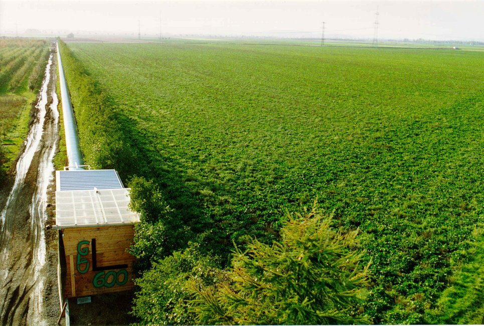 A look at GEO600 from the eastern end-house.