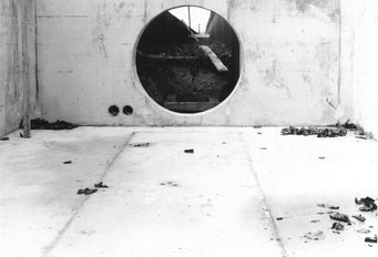 View from the eastern end house along the trench. View from the eastern end house along the trench.