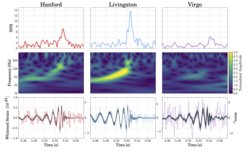 Top row: Signal-to-noise ratio as a function of time. The peaks occur at different times in different detectors because gravitational waves propagate at the finite speed of light; this causes the signal to reach the detectors at different times. GW170814 arrived first in LIGO-Livingston, then 8 ms later in LIGO-Hanford and 6 ms after that in Virgo. Middle row: Time-frequency representation of the strain data. The brighter a given pixel in any of the three 2D-maps, the larger the signal at this particular time and frequency with respect to the expected noise level. Note the characteristic “chirp” pattern of increasing frequency with time. Bottom row:
