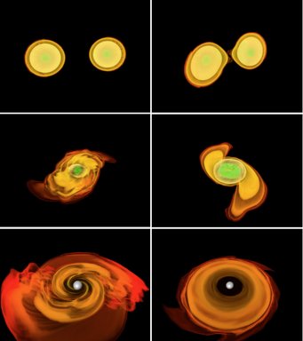 The images show the simulation of two neutron stars merging into a single object: an hypermassive neutron star (HMNS). Shown with different colours are different values of the density with green for the high density and orange for the low density. Although very hot, the HMNS will not be able to resist gravity and will collapse to produce a black hole after a fraction of a second. The low-density (orange) material will then produce a torus orbiting the black hole, leading to the configuration which is expected behind gamma-ray bursts. The images show the simulation of two neutron stars merging into a single object: an hypermassive neutron star (HMNS). Shown with different colours are different values of the density with green for the high density and orange for the low density. Although very hot, the HMNS will not be able to resist gravity and will collapse to produce a black hole after a fraction of a second. The low-density (orange) material will then produce a torus orbiting the black hole, leading to the configuration which is expected behind gamma-ray bursts.