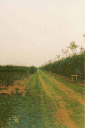 © AEI Hannover/H. Lück