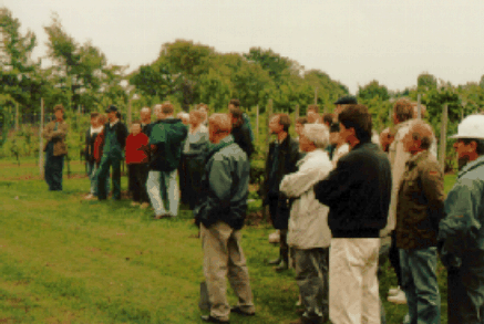 © AEI Hannover/H. Lück