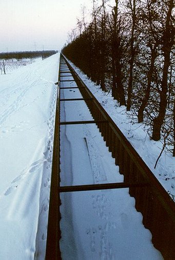 © AEI Hannover/H. Lück